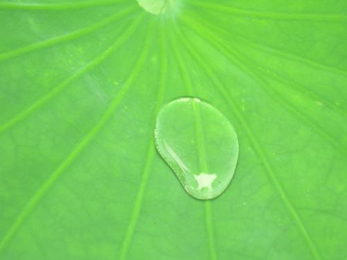 サンプルイメージ